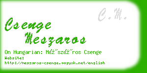 csenge meszaros business card